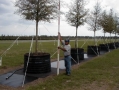 calusa_7