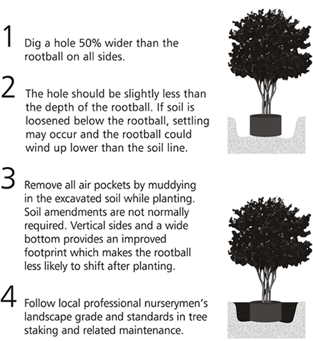 Planting the Cool Ring